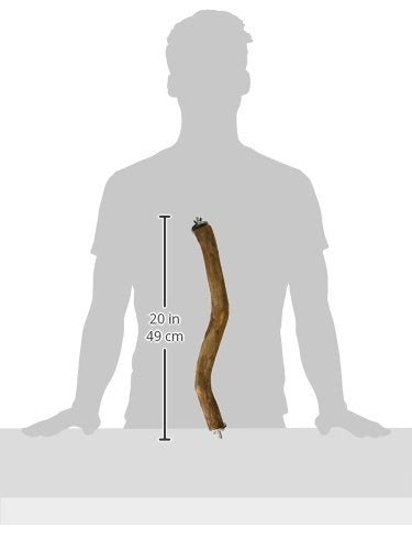 Polly's Full Length Hardwood Cage Perch for Parakeets, Cockatiels, Cockatoos, Macaws, and Other Birds (16") - size: 16"