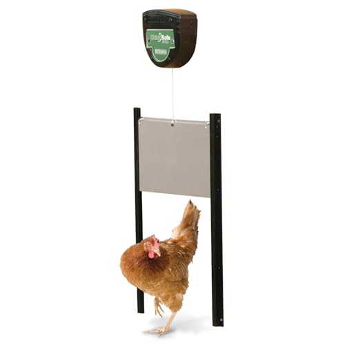 Brinsea ChickSafe Eco Light-Sensing Automatic Chicken Coop Door Kit | 50+ years of trusted care! Easy-setup opener with anti-pinch 2-stage aluminum door keeps your flock safe in any weather - style: Light Sensor