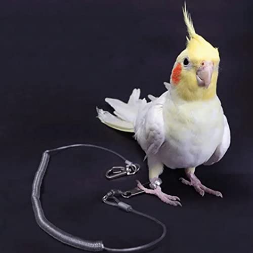 Parrot Flying Rope,19.7ft Ultra Light Anti Bite Portable Bird Flying Training Leash Parrot Foot Chain Pet Bird Supplies for Macaw African Greys Parakeet Cockatoo