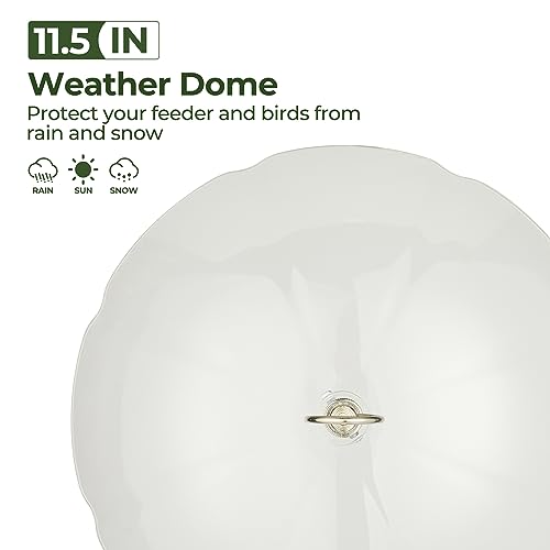 Kingsyard Weather Squirrel Baffle for Bird Feeder Hanging, Rain Guard Cover | 11.5 in, Made of Sturdy Plastic, Metal Hook, Ready to Use, Fits Most Feeders Outdoors, Weatherproof, Easy to Clean, Clear - color: Clear