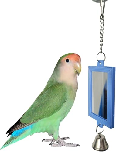 1Pc Random Color Pet Bird Mirror with Bell Interactive Parrot Toys for Budgies Parakeets Conures