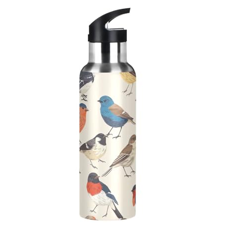 YETTASBIN Bird Water Bottle with Straw Lid 32oz Leakproof Vacuum Insulated Stainless Steel Sport Water Bottles for Gym, School, Travel