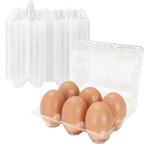 DAJAVE 100 Pack Plastic Egg Cartons Bulk, 2x3 Egg Holders Style Holds up for 6 Eggs, Half Dozen Egg Carton for Family, Pasture, Farm Markets Display(Medium)