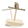 Natural Wood Bird Perch Stand, Rocking Perch for Bird Stand Swing(Large) | Intelligence Puzzle Training Wood Parrot Tumbler Toy,Playstand Birds Accessories for Parakeets,Cockatiels,Budgies,Conures - size: Large