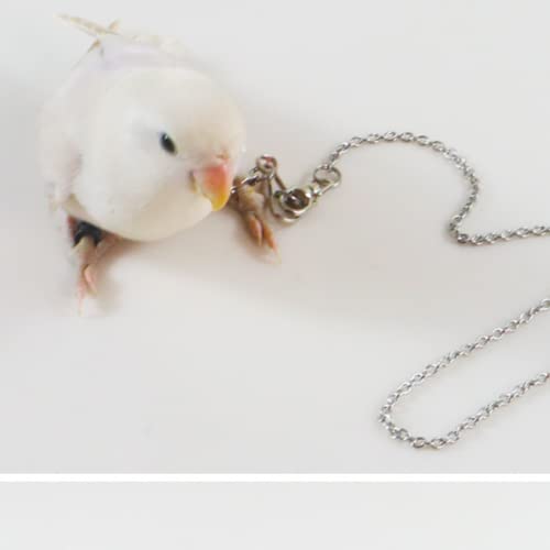 Bird Foot Chain Flying Stainless Steel Training Rope Outdoor Parrot Ankle Foot Ring Accessories Bird Harness Leash Prevent Escaping (4#) - size: 4#