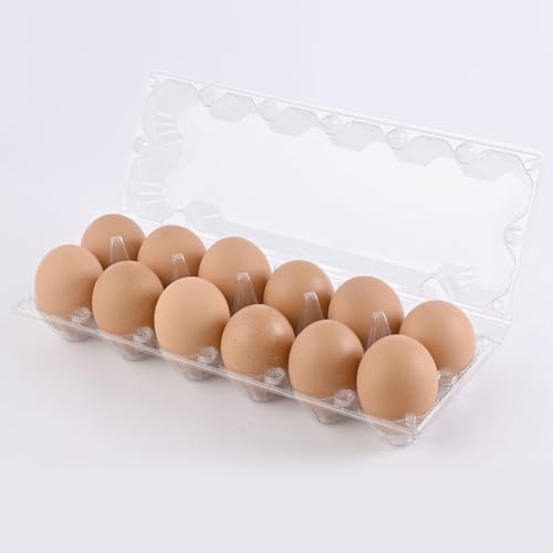 2 * 6 grid large plastic Egg Carton,fit into 2.5 oz of egg (120 pc) | (2*6)12 grid Reusable Eggs Carton，Disposable Large Clear Plastic Egg Carton,egg cartons cheap bulk，for Family, Farm, Markets - size: 2x6 12 egg boxes, 120 pieces