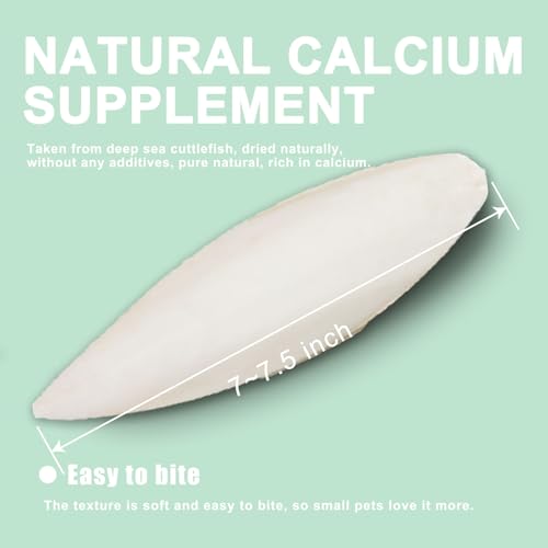 Natural Cuttlebone for Birds Parakeets Canaries Cockatiels Small Conures Mynahs Toucans African Greys All Parrots Snails Totoise (7-7.5 inch,6PCS) - size: 7-7.5 inch,6PCS