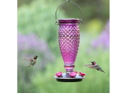 Perky-Pet Diamond Wine Top Fill Glass Hummingbird Feeder, 24 oz Capacity | Built-in Bee Guards for Outdoors, Purple Hanging Wild Bird Feeder, Easy to Clean