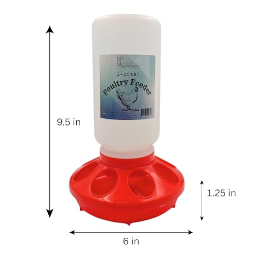 Chicken Waterer and Feeder Set | 1 Quart Poultry Drinker and 1 Quart Poultry Feeder Combo | for Chickens, Ducks, Turkeys, Ducklings, Quail, Baby Chicks and More - size: 1 Quart Feeder and 1 Quart Drinker