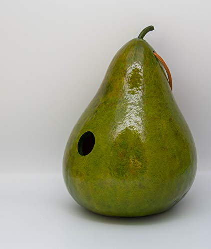 Lime Green Gourd Birdhouse, 1.5" Entrance, Outdoor Hanging Birdhouse | Weather Resistant • Leather Hanging Strap • Drainage Holes