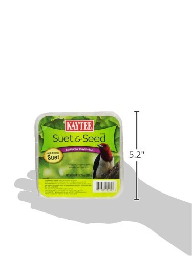 Kaytee Suet & Seed High Energy Suet 11.75 Ounces - size: 11.75 Ounce (Pack of 1), style: Suet & Seed