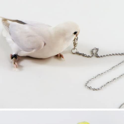 Bird Foot Chain Flying Stainless Steel Training Rope Outdoor Parrot Ankle Foot Ring Accessories Bird Harness Leash Prevent Escaping (8#) - size: 8#