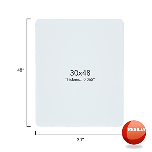 Resilia Under Dog Crate and Kennel Mat to Protect Floors, Water-Resistant Pad for Hard Floors and Surfaces, 30 Inches x 48 Inches, Clear - color: Clear