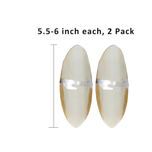 Natural Cuttlebone for Birds Parakeets Canaries Cockatiels Small Conures Mynahs Toucans African Greys All Parrots Snails Totoise, with Holder for Bird Cage (5.5-6 inch,2PCS) - size: 5.5-6 Inch (Pack of 2)