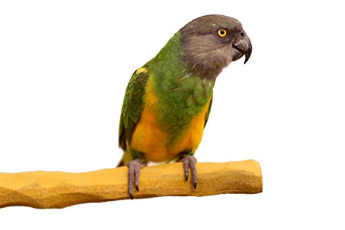 Grooming Geo NU Perch® for Parrots African Grey, Amazon, Cockatoo, Eclectus