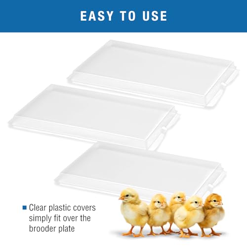 Brinsea Clear Plastic Covers for EcoGlow Safety 1200 Chick Brooder, 3 Pack | Authentic Brinsea plastic replacement cover for EcoGlow Safety 1200 chick brooders (model USHD612C) to make cleaning easier - style: EcoGlow Safety 1200