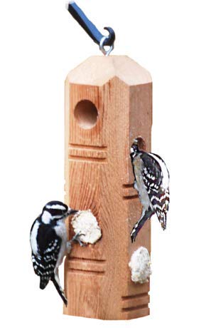 Suet Plus Plug Pine Feeder, Bevel Cut Post
