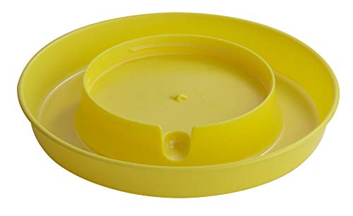 Little Giant® Screw-On Poultry Waterer Base | Heavy Duty Plastic Water Tray Base for Container | Chicken Waterer Screw On Base | 1 Gallon (Yellow, Pack of 1) - color: Yellow