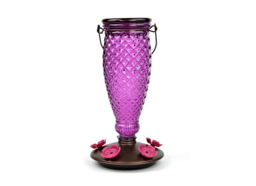 Perky-Pet Diamond Wine Top Fill Glass Hummingbird Feeder, 24 oz Capacity | Built-in Bee Guards for Outdoors, Purple Hanging Wild Bird Feeder, Easy to Clean