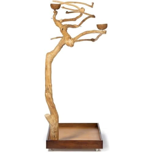 HomeStock Asian Fusion CoffeeWood Tree-Style Parrot Play Stand with Natural Design, Durable Perches, Feeding Bowls, and Spacious Activity Area for Birds Medium - size: Medium