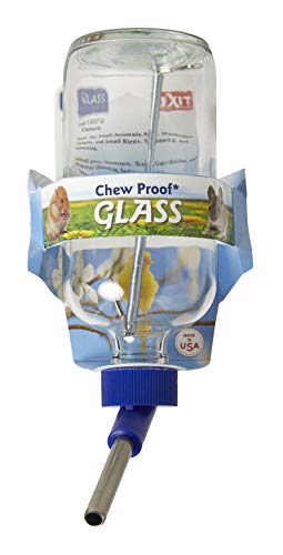 Lixit 30-0370-024 Glass Water Bottle for Birds and Small Animals, 8-Ounce - size: 8oz