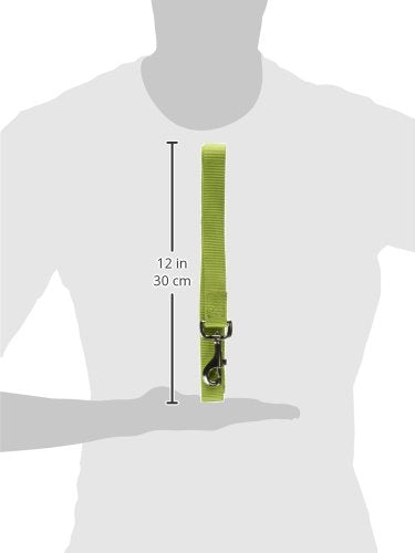 Zack & Zoey Nylon Dog Lead, 6' Long x 1" Wide, Parrot Green - color: Parrot Green, size: 6-Feet x 1-Inch Lead