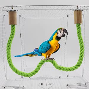 2 Pack Bird Hemp Rope Perch Swing, Bird Cage Stand Pole Accessories, Paw Grinding Standing Climbing Perch for Parrot, Parakeet, Budgies, Lovebirds (55.1 inches/140 cm) - color: Green, size: 55.10 inches