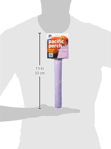 Prevue Pet Products Pacific Perch Beach Walk Large - Natural Seashell Mineral Bird Perch for Cage Accessory, Foot Exercise & Beak Grooming, Medium to Large Birds - size: Large