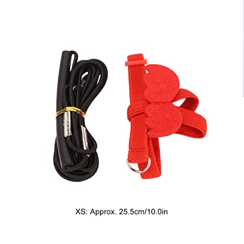 Pet Bird Harness Leash, Lightweight Bird Flying Harness Anti Bite Bird Harness Leash for Parrots Pigeons Lovebird Red - size: M