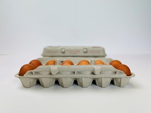 12 Count Egg Cartons - Printed Red/Brown - Recycled Paper Pulp, Solid Top S | tyle for Chicken Eggs - Made in USA