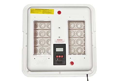 Little Giant Deluxe Incubator w/Egg Turner