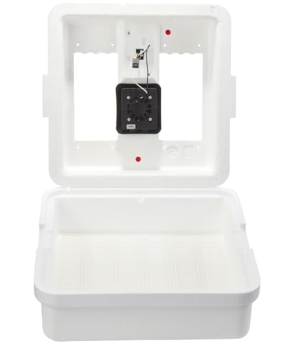 Little Giant® Digital Still Air Incubator | 41 Egg Capacity | Chick Egg Hatching Incubator with Temperature and Humidity Control | Made in USA - style: Still Air Incubator