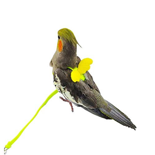 Adjustable Bird Harness Leash Parrot Flying Rope Straps Outdoor Training Traction Rope for Small Parrots, Random Color