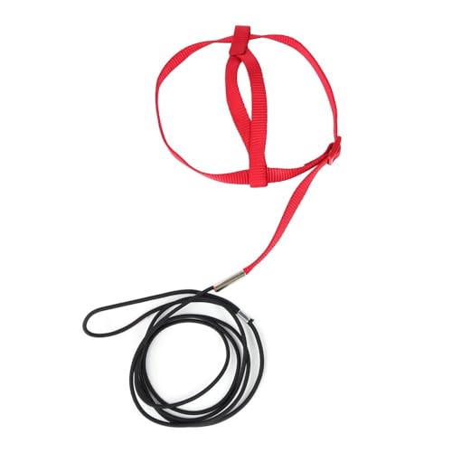 Parrot Harness Leash, Anti Bite Bird Training Leash Adjustable Parrot Flying Rope for Parrot Budgerigar Lovebird Cockatiel