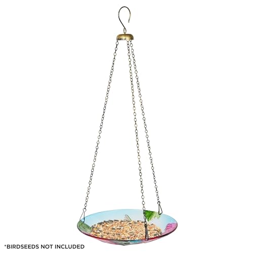 Alpine Corporation KBD150 Outdoor Hanging Glass Bird Feeder and Birdbath, Floral and Hummingbird Design with Chain, 10" W, Red/Green - style: Floral and Hummingbird