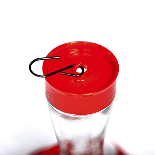 Nature's Rhythm Bird Feeder 4 bee Guard Plastic Feeding Port 8oz Glass Pinch Waist Hummingbird Feeder,1pcs - color: Red, size: 1pcs