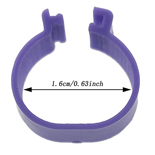 Mutai 16mm Chicken Identification Band 50PCS 16mm 5Color Plastic Poultry Chickens Ducks Leg Rings Clip-On Round Tags Poultry Identification Bands