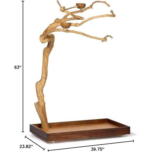 HomeStock Asian Fusion CoffeeWood Tree-Style Parrot Play Stand with Natural Design, Durable Perches, Feeding Bowls, and Spacious Activity Area for Birds Small - size: Small