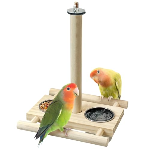 Tfwadmx Bird Perch with Stainless Steel Feeding Bowl Cups Parrot Wood Perch Stand Toy Hanging Feeder for Conures Cockatiels Budgie Lovebird