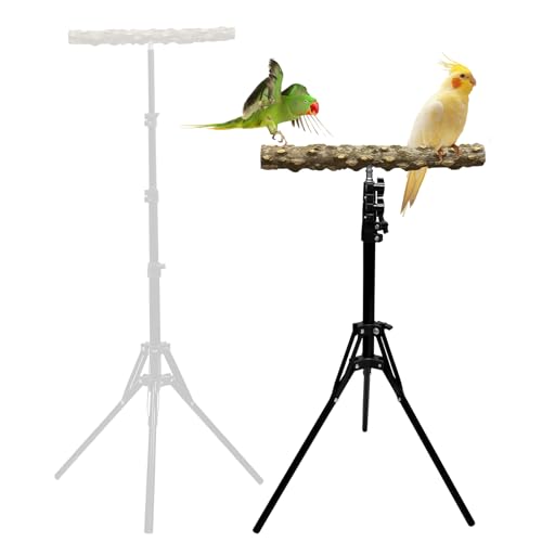 16-63 Inch Height Adjustable Bird Perch Pepper Wood Bird Training Perch Stand Parakeet Perches Indoor and Outdoor Parrot Stands for Small to Medium Bird - size: Floor Bird Perch
