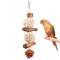 Bird Chew Toy for Pet Bird Parrot Sola Ball Natural Nuts Pinecone Chewing Toy for Small Parakeet Cockatiel Conures Finch Budgie (L) - size: L