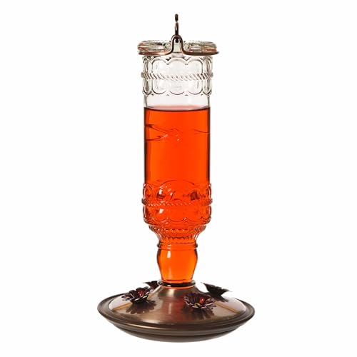 Perky-Pet Antique Glass Bottle Hummingbird Feeder - Outdoor Garden Décor Hummingbird Feeder - 8107-1SR - 10 Fl Oz Nectar Capacity - Durable Humming bird Feeder for Backyards, Porches, Decks, Hooks - style: Clear Bottle