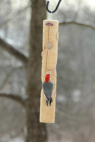 Large Cedar Suet Log Feeder | For Woodpeckers and Chickadees