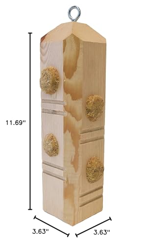 Suet Plus Plug Pine Feeder, Bevel Cut Post