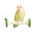 Apple Shape Parrot Perch Stand Ceramic Beak Grinding Stone Toy for Nail Trimming - Cage Accessories for Parrot, Budgie, Cockatiel, Lovebird, Other Small Medium Birds (Green)