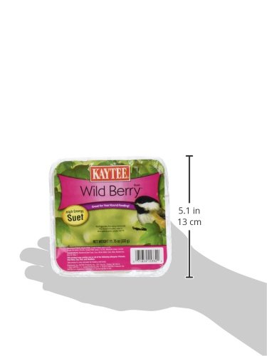 Kaytee Wild Berry High Energy Bird Suet, 11.75 Oz - size: 11.75 Ounce (Pack of 1), style: Wild Berry