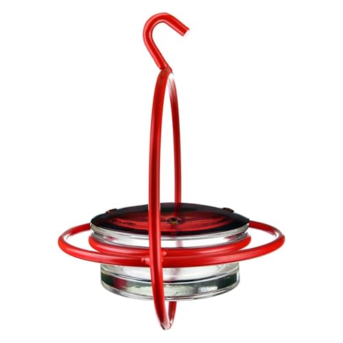 Hummingbird Feeder for Outdoors Hanging, 3.4 OZ Hummingbird Feeders, Glass Bowl with 4 Feeding Ports, Leak Proof Lid & Circular Perch, Bird Feeder (1, Red) - color: Red
