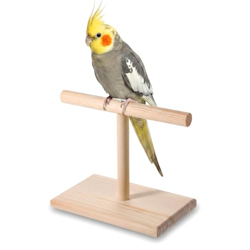 Bird Perch Stand, Bird Training Portable Tabletop Parrot Stand | Parakeet Perches for Cockatiels, Conures, Macaws, Finches Lovebirds