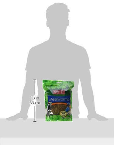Kaytee Wild Bird Food Mealworms For Bluebirds, Wrens, Robins, Chickadees, Woodpeckers, Cardinals & Chickens, 17.6 Ounce - size: 1.1 Pound (Pack of 1)