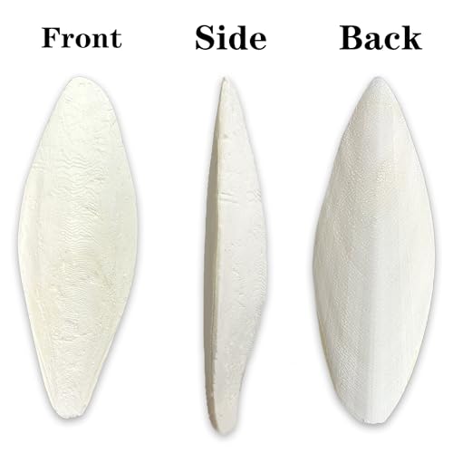 4.7-5.1'' Cuttlebone for Parakeets Cuttlebone for Birds - Natural Cuttlefish Bone Bulk Chew Toy Bird Bites Calcium Stone for Canaries Tortoises,Snails,Reptiles,Parrots,Cockatiel-20PCS - size: 20PCS
